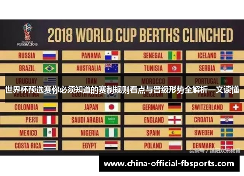 世界杯预选赛你必须知道的赛制规则看点与晋级形势全解析一文读懂